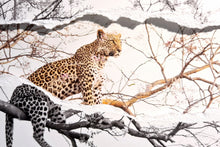 Charger l'image dans la galerie, L'heure de la chasse