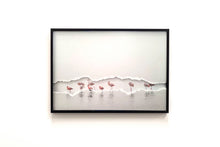 Charger l'image dans la galerie, Flamants dans la brume