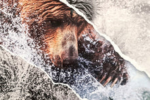 Charger l'image dans la galerie, Toutes griffes dehors