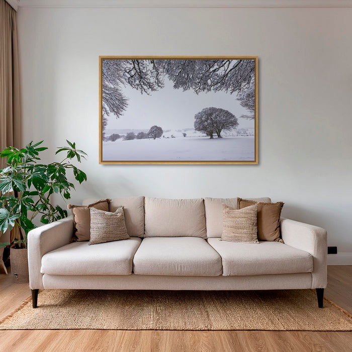 Fenêtre hivernale