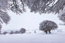 Charger l'image dans la galerie, Fenêtre hivernale