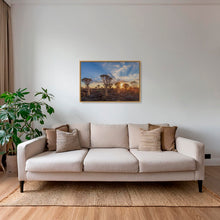 Charger l'image dans la galerie, Sunset sur les dicotomas