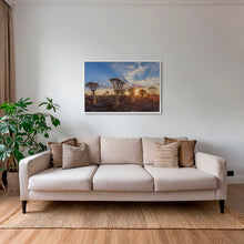 Charger l'image dans la galerie, Sunset sur les dicotomas