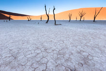 Charger l'image dans la galerie, Argile du Deadvlei