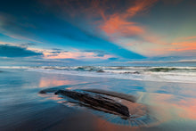 Charger l'image dans la galerie, Tronc échoué