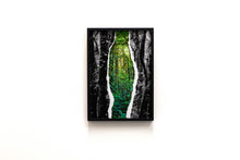 Charger l'image dans la galerie, À travers la jungle