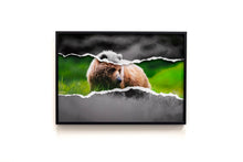 Charger l'image dans la galerie, Teddy la peluche