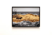 Charger l'image dans la galerie, Sprinter à l'affut