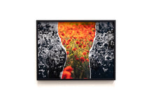 Charger l'image dans la galerie, Rouge Coquelicots