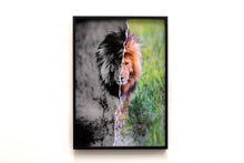 Charger l'image dans la galerie, Le Roi