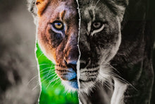 Charger l'image dans la galerie, Les yeux dans les yeux