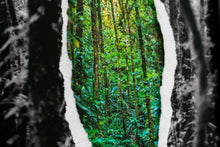 Charger l'image dans la galerie, À travers la jungle