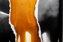 Charger l'image dans la galerie, Lumière d'or au trou d'eau