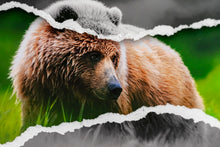 Charger l'image dans la galerie, Teddy la peluche