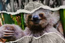 Charger l'image dans la galerie, Salut toi !