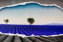 Charger l'image dans la galerie, Parfum lavande