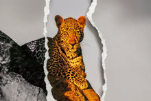 Charger l'image dans la galerie, En attendant la nuit