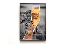 Charger l'image dans la galerie, Regard félin