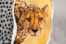 Charger l'image dans la galerie, Regard félin