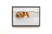 Charger l'image dans la galerie, Poussière d'argile