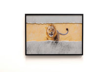 Charger l'image dans la galerie, Montrer les crocs