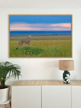 Charger l'image dans la galerie, Guépard du soir 2