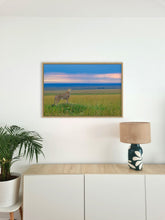 Charger l'image dans la galerie, Guépard du soir 2