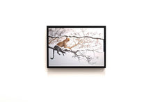 Charger l'image dans la galerie, L'heure de la chasse