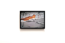 Charger l'image dans la galerie, Leadwood Lady