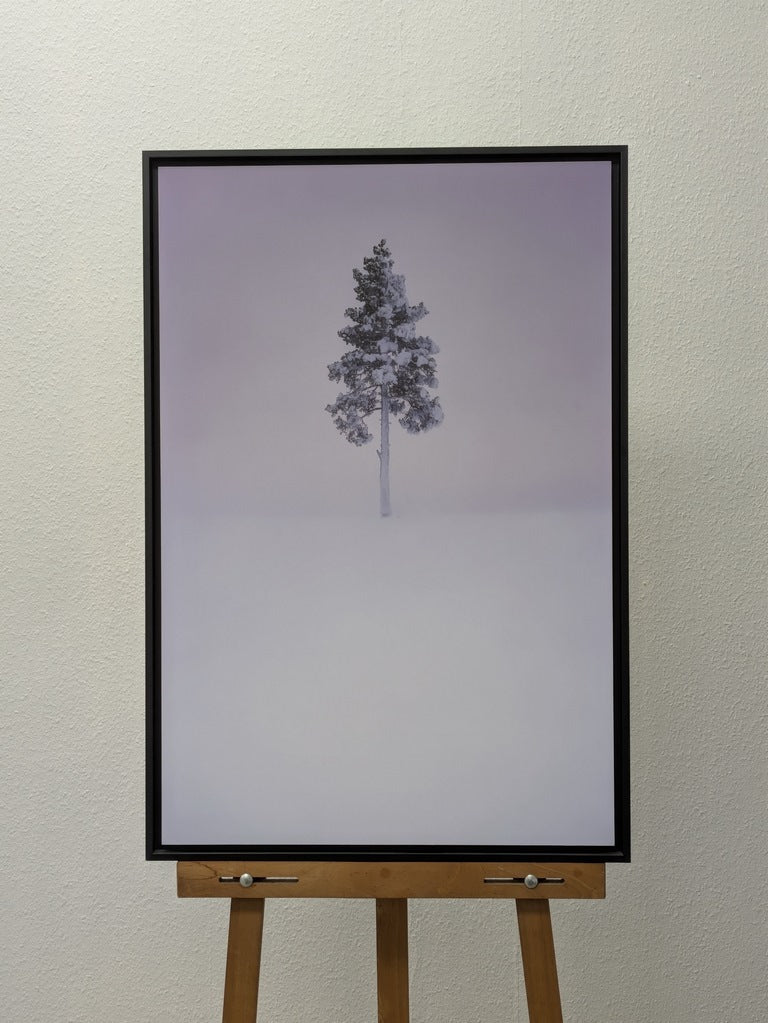 Un simple arbre