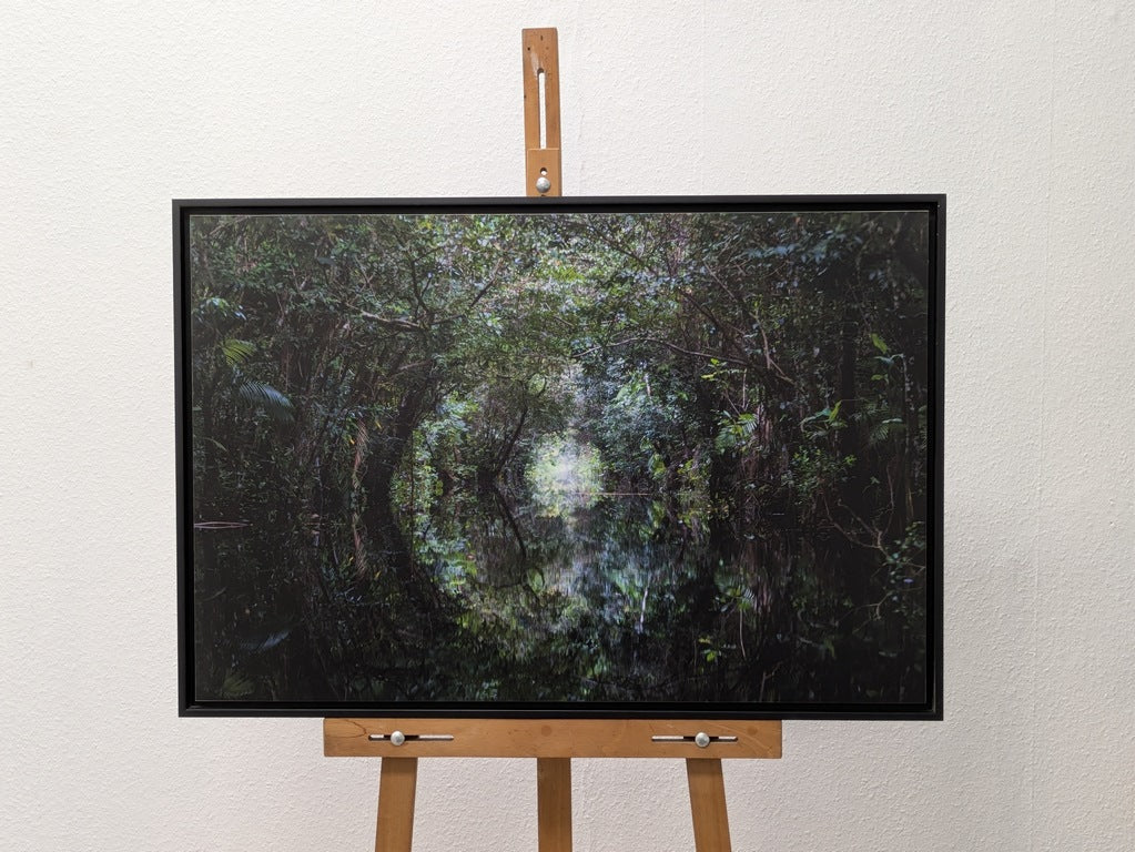 Vortex