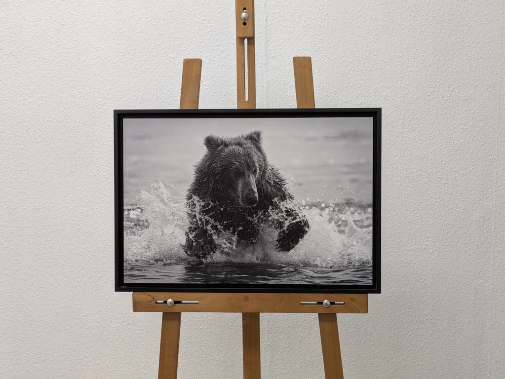 La pêche de Teddy
