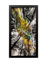 Charger l'image dans la galerie, Bouquet de hêtres en diptyque