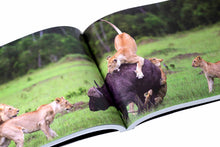 Charger l'image dans la galerie, "Kenya, Rêve et Réalité"