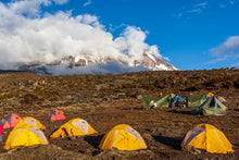 Charger l'image dans la galerie, "Sur les pentes du Kilimandjaro"