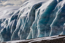 Charger l'image dans la galerie, "Sur les pentes du Kilimandjaro"
