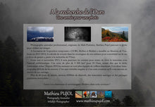 Charger l'image dans la galerie, "A la recherche de l'Ours, une année pour une photo"