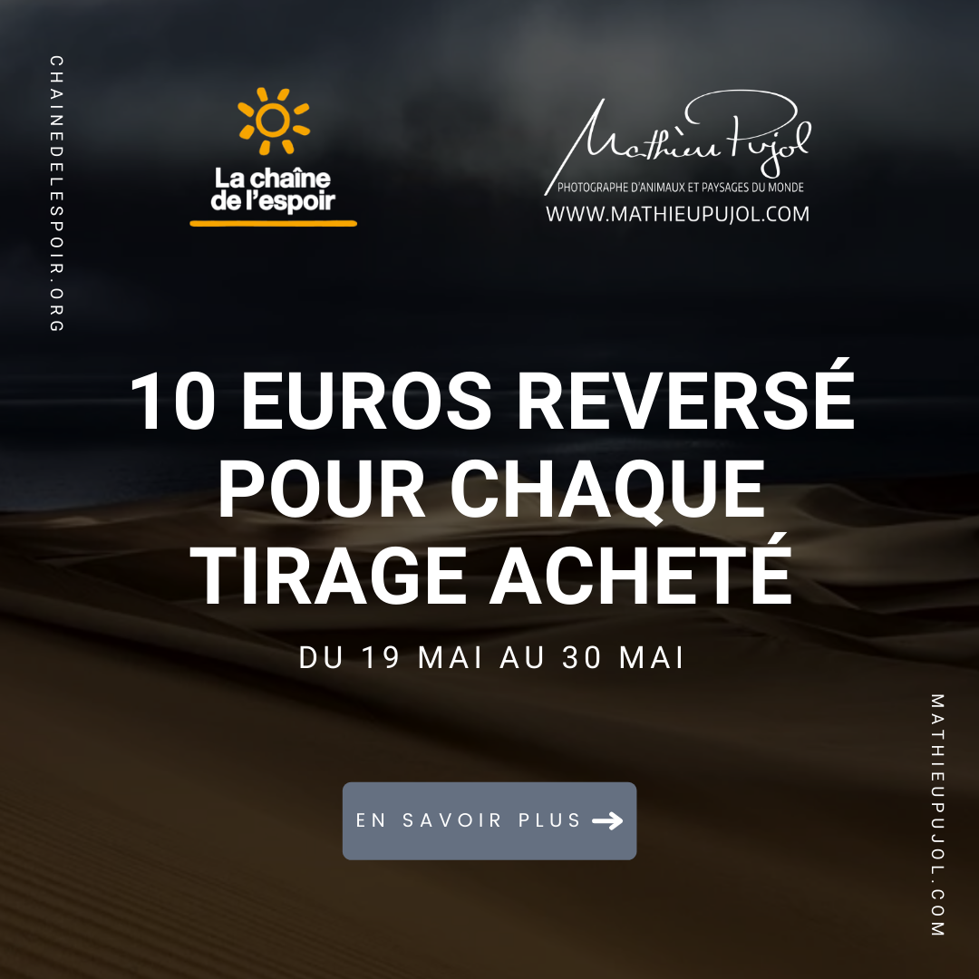 Soutien à la chaîne de l'espoir