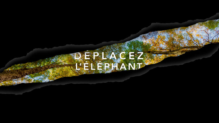 DÉPLACEZ L'ÉLÉPHANT
