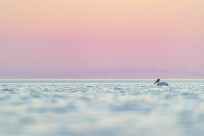 Makgadikgadi