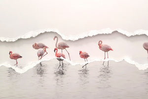 Flamants dans la brume