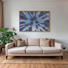 Charger l&#39;image dans la galerie, Convergence lapone
