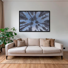 Charger l&#39;image dans la galerie, Convergence lapone
