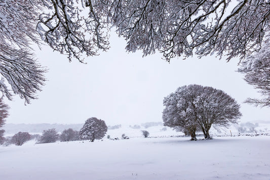 Fenêtre hivernale