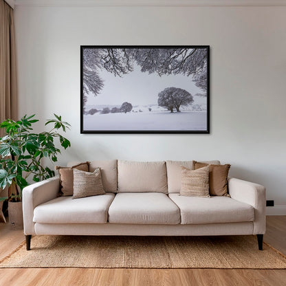 Fenêtre hivernale