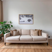 Charger l&#39;image dans la galerie, Fenêtre hivernale
