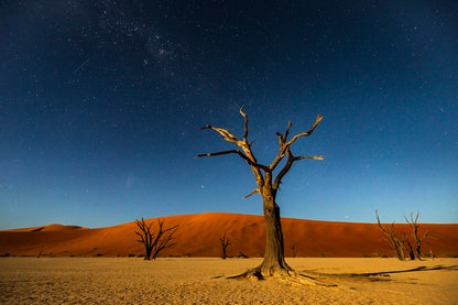 Lever de pleine lune sur le Deadvlei