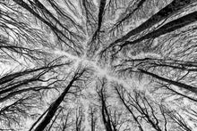 Charger l&#39;image dans la galerie, Hommage à Soulages 3
