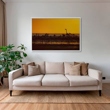 Charger l&#39;image dans la galerie, La star du Sunset
