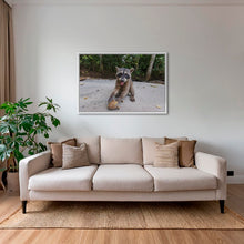 Charger l&#39;image dans la galerie, La main dans le sac
